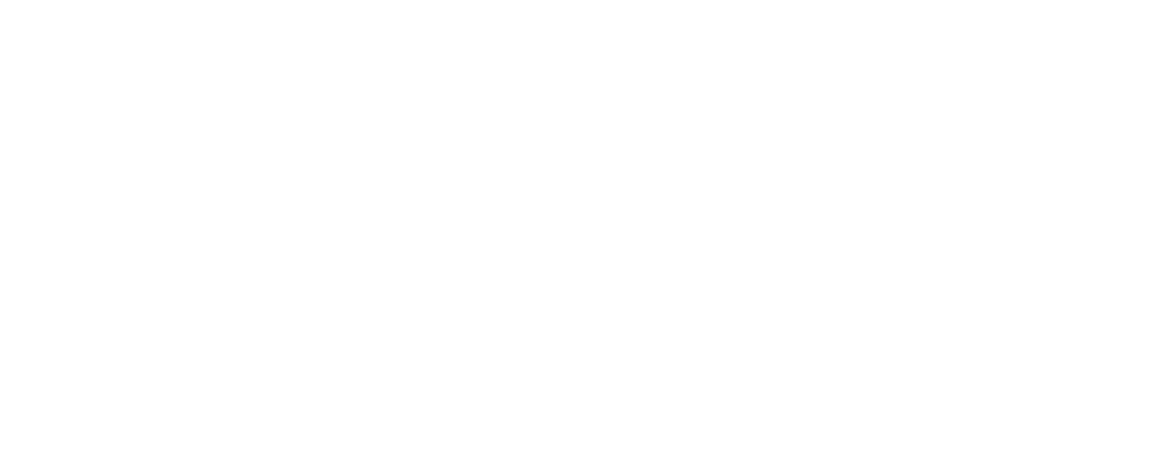 ver_logo_tm_hrz_rgb_rev